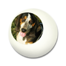 Dog Ball - White
